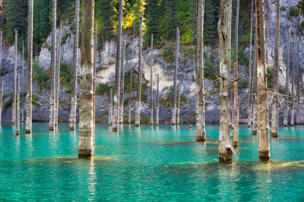 lago kaindy em south east cazaquistão, tirada em agosto de 2018 em hdr - alatau - fotografias e filmes do acervo