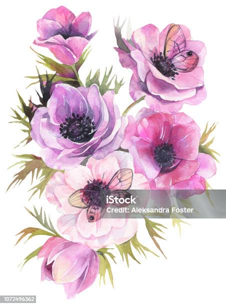 Hand Drawn Watercolor Flowers Tender Bouquet With Anemones And Butterflies Fine Art Painting Stock Illustration - Download Image Now