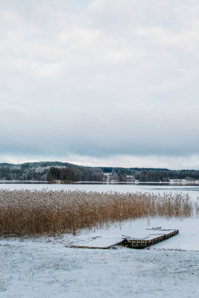 frozen lake. winter in scandinavia, finland - winter lake snow fog imagens e fotografias de stock