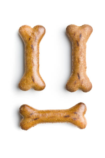 Three bone shaped dog treats on a white background with copy space
