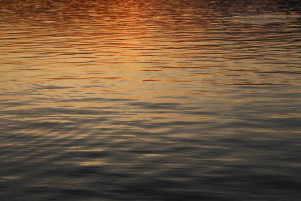 istock Sunlight on water in the evening 1072505160