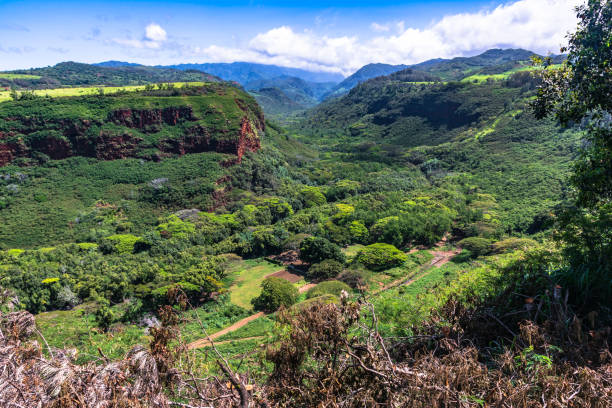 istock Hanapepe Valley Overlook, Kauai, Hawaii 1072506116