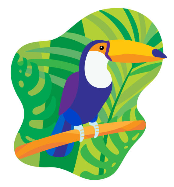 Toucan on a tropical leaves background А bright tropical toucan from South America, which sits on a branch among tropical leaves toucan white background stock illustrations