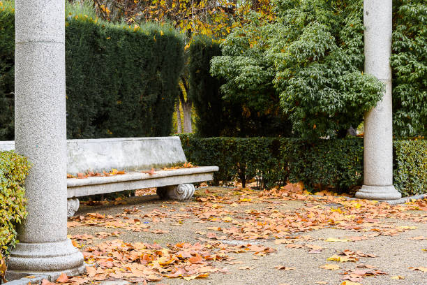 istock Autumn. Stone bench in the park 1072512456