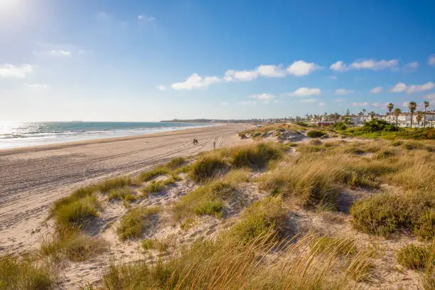 La Barrosa Beach in Chiclana de la Frontera, one of the most famous and large beaches in Cadiz (Andalusia, Spain, Europe)