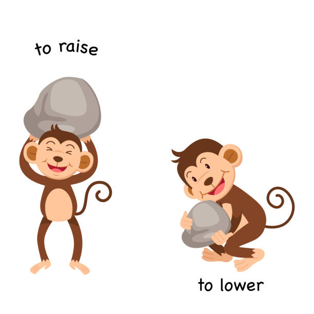Opposite to raise and to lower Opposite to raise and to lower vector illustration clip art of a monkey holding banana stock illustrations