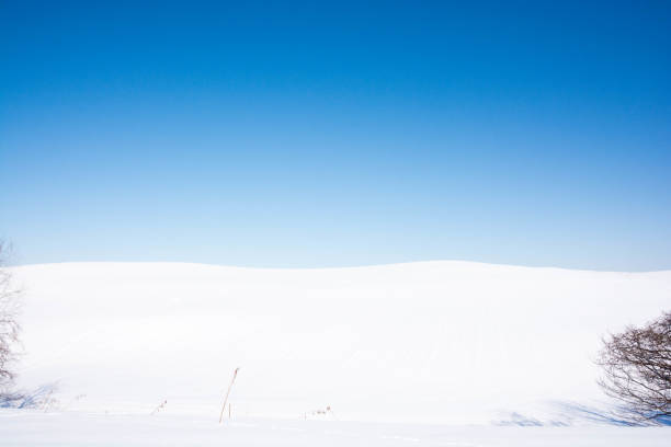 istock Snowy field against a blue sky 1072528854