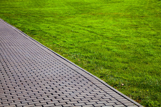 istock Stone path in the park and green lawn. 1072528862