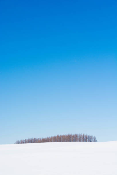 Farmland Landscape During Winter on a Sunny Day