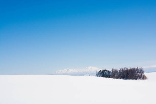 istock Snowy field and mountain against a blue sky,Mt.Daisetu 1072528946