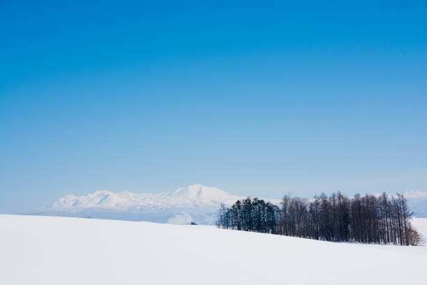 istock Snowy field and mountain against a blue sky,Mt.Daisetu 1072528968