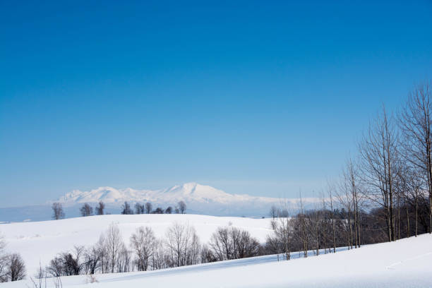 istock Snowy field and mountain against a blue sky,Mt.Daisetu 1072529248