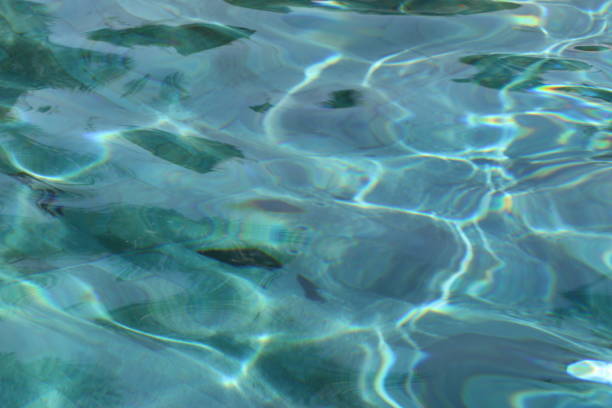 istock Water in swimming pool. 1072536856