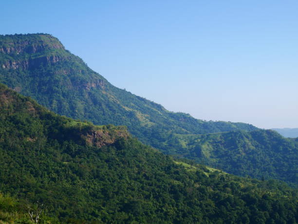 istock Mountainous Rain Forest Landscape 1072538450
