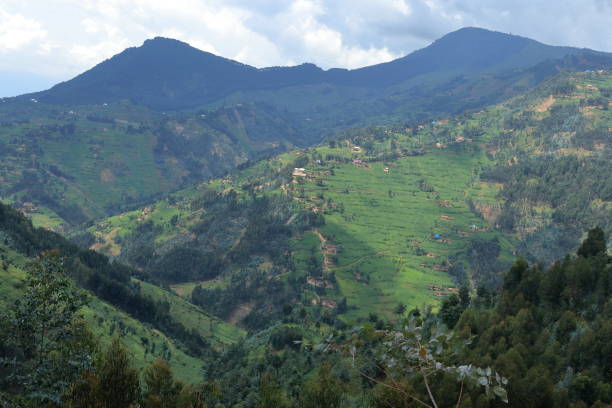 istock Agriculture in rural Rwanda 1072543118