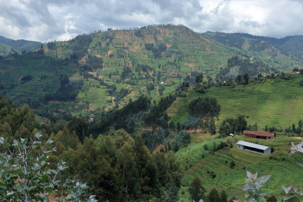istock Agriculture in rural Rwanda 1072544126