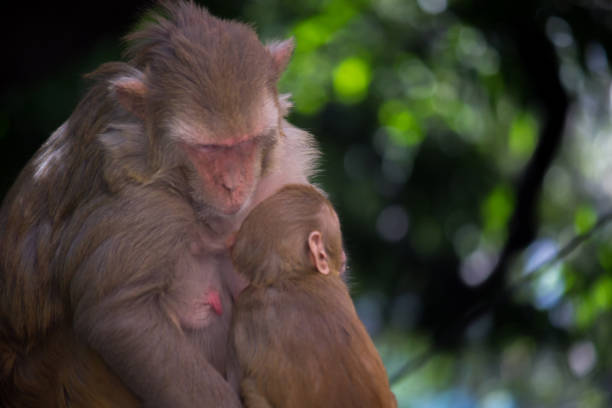 istock Mother and Child 1072552046