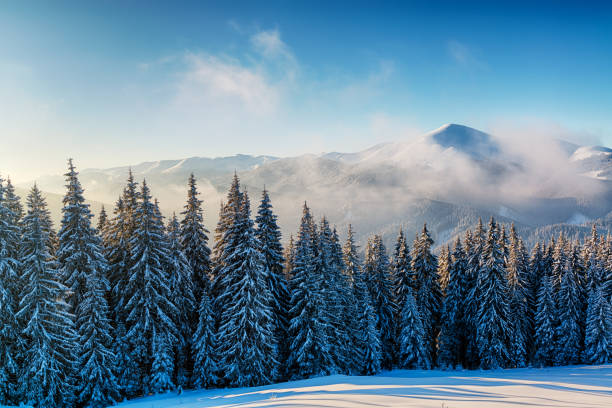 istock Fairytale winter scene in the snowy mountains 1072552678