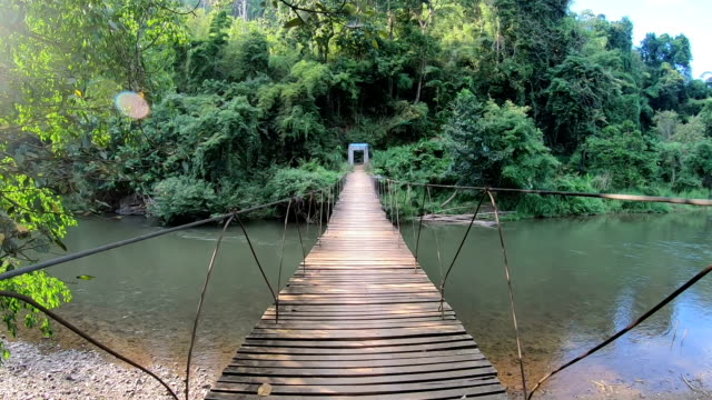 70+ Jungle Rope Bridge Stock Videos and Royalty-Free Footage - iStock
