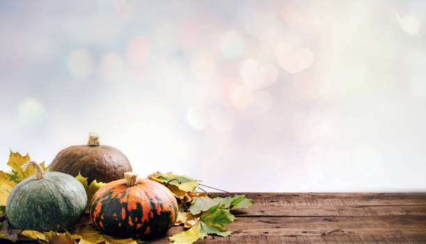 istock Colorful autumn pumpkins 1072556540