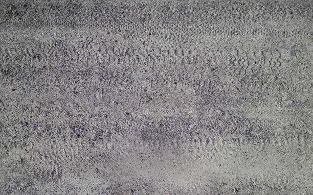 istock Tire tracks on ground as background 1072562866