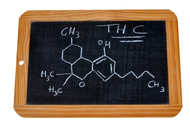 istock Chemical formula of tetrahydrocannabinol 1072562882