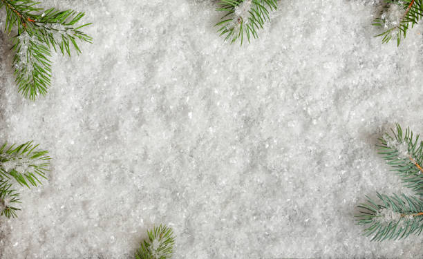 istock Christmas decoration with fir branches and snow 1072563052