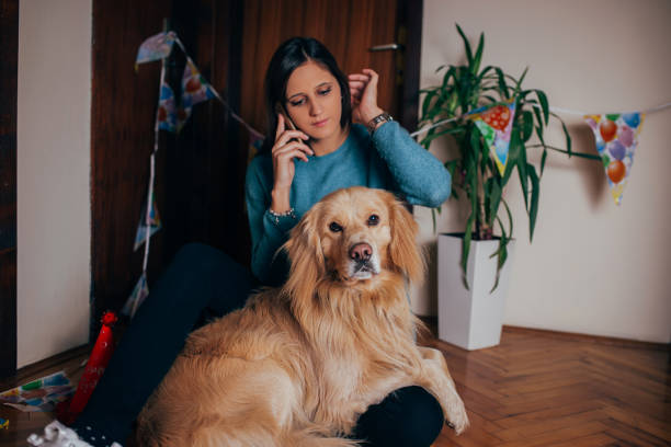 istock Celebrating a birthday to my dog 1072568502