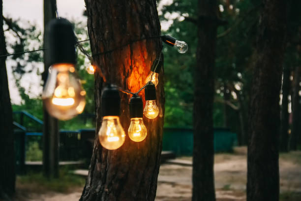 istock Light bulb decor in outdoor party 1072573826