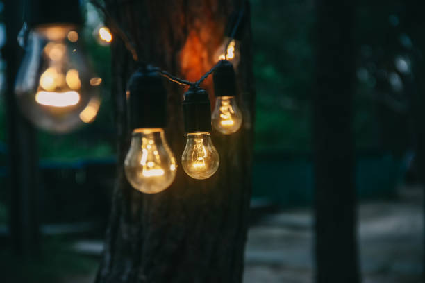 istock Light bulb decor in outdoor party 1072573846