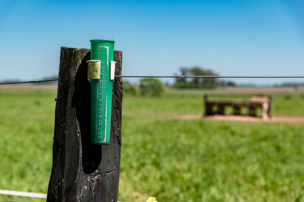 misuratore di pioggia verde, misuratore di pioggia o pluviometro appeso su un palo di legno in un ambiente di campagna verde con un cielo blu e una forma di abete rosso sul retro - lautaro foto e immagini stock