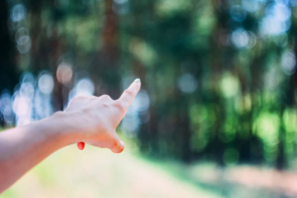 istock Female hand pointed to the bokhe forest background 1072588834