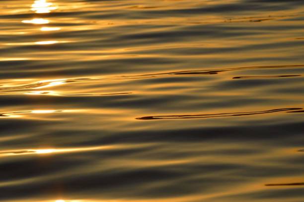 Free Stock Photo of Golden reflections on ocean water surface ...