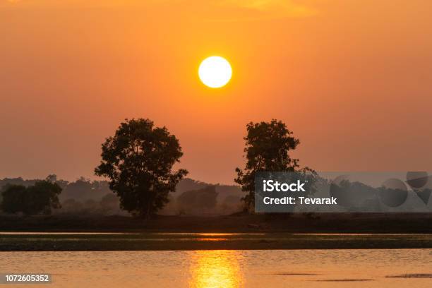 Beautiful Sunset Over Lake And Two Tree Silhouette Background Stock Photo - Download Image Now