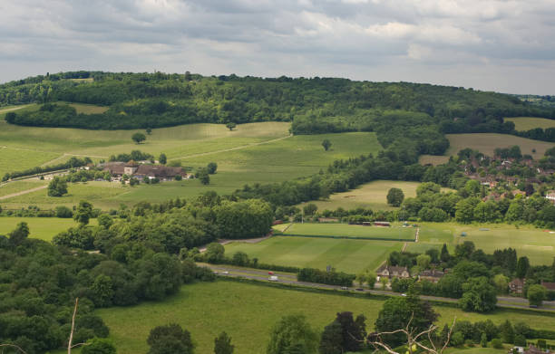 istock Vineyard at Dorking, Surrey, England 1072605866