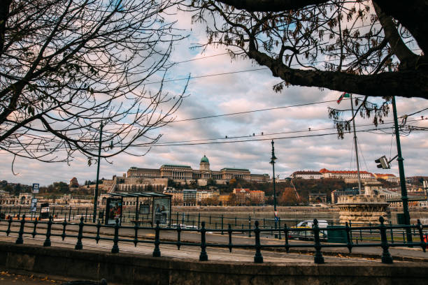 el castillo de buda entre dos árboles-budapest - hungría - fort budapest medieval royal palace of buda fotografías e imágenes de stock