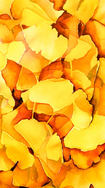 istock Autumnal header with ginkgo leaves on yellow background, Watercolor autumn leaves, Botanical watercolor illustration of colorful ginkgo leaves. 1072632370