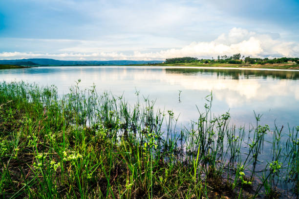 istock lawn on river bank during sunset 1072633784