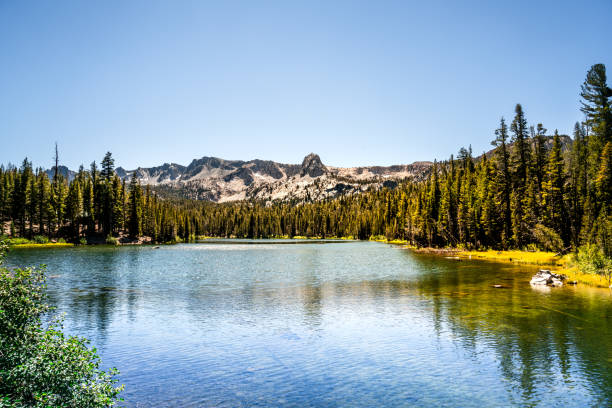 verão de mamute lago - mammoth - fotografias e filmes do acervo