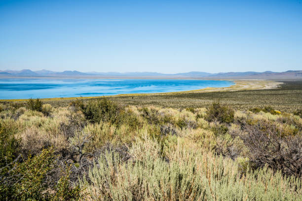 istock Mono Lake desert california 1072633936