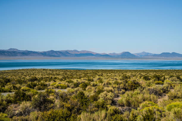 istock mono lake desert california 1072633992