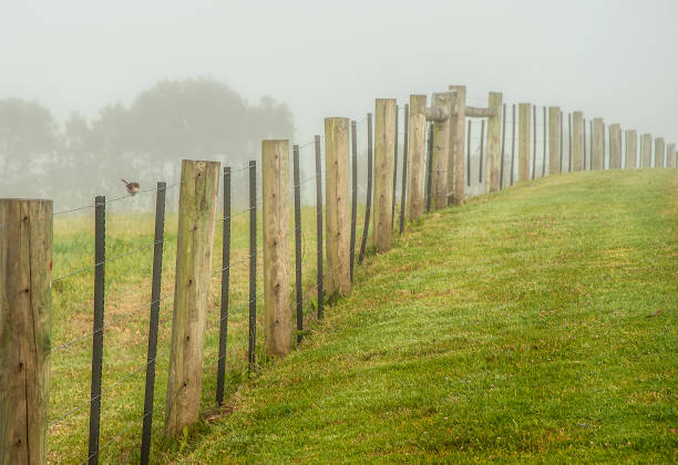 istock Foggy dawn in Warrnambool, Australia. 1072638758
