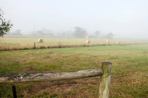 istock Foggy dawn in Warrnambool, Australia. 1072638836