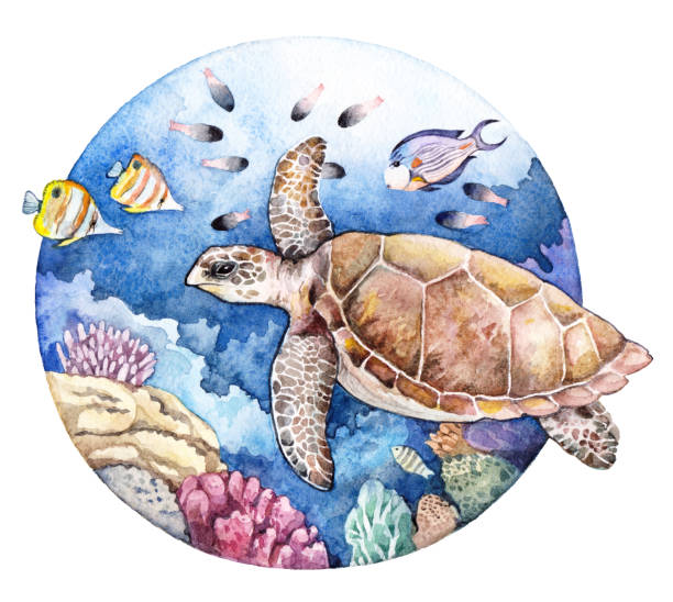istock Watercolor coral reef, fish, turtle. Underwater illustration in circle on white background 1072641074
