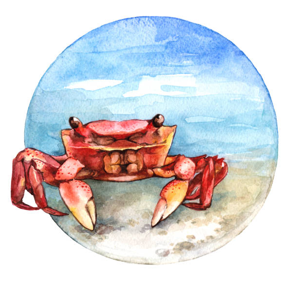 istock Watercolor crab on the beach. Illustration in circle on white background 1072641474