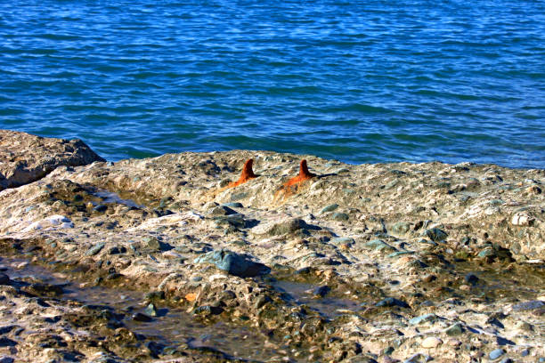 Stone pier by the sea