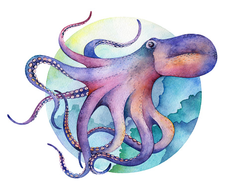 Watercolor violet octopus. Underwater illustration in circle on white background
