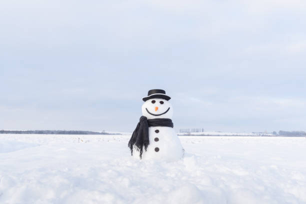 istock Funny snowman in black hat 1072646926