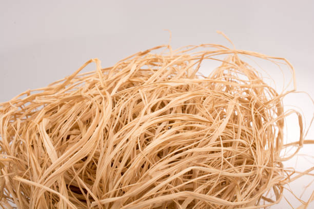 istock Handful amount of straw 1072649852