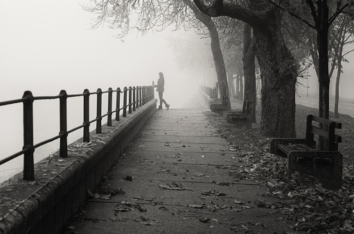 Beautiful woman walking in the autumn mist